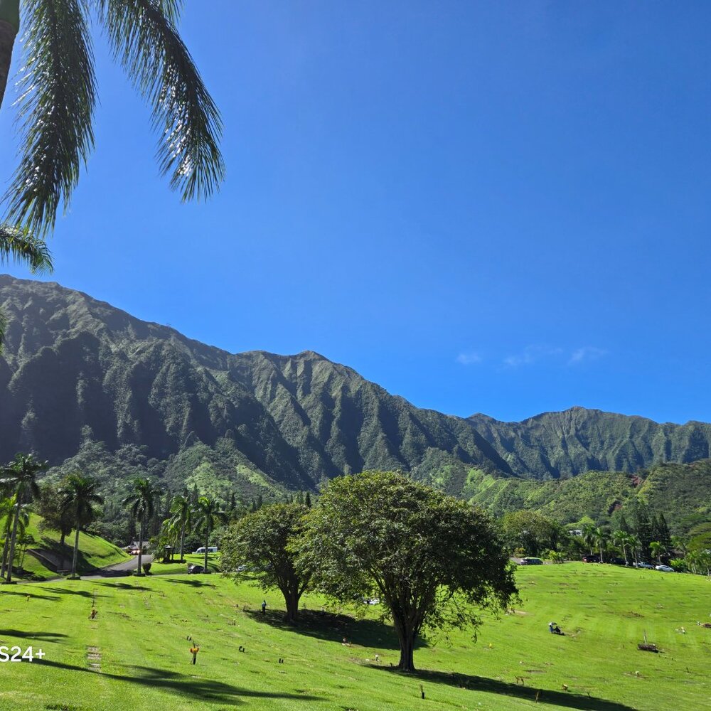 Meet your Posher, R - Picture 2 of 2